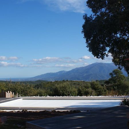 Mas La Marchette Bed and Breakfast Céret Exterior foto